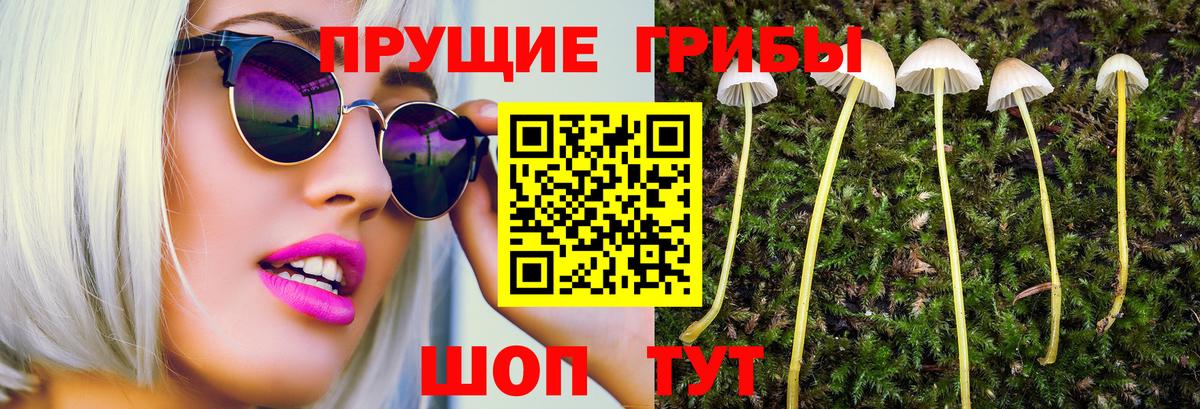 Галлюциногенные грибы Magic Shrooms Анапа