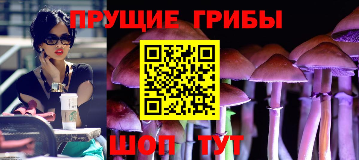 Псилоцибиновые грибы MAGIC MUSHROOMS  Вход с VPN  Анапа  Псилоцибиновые грибы мицелий 